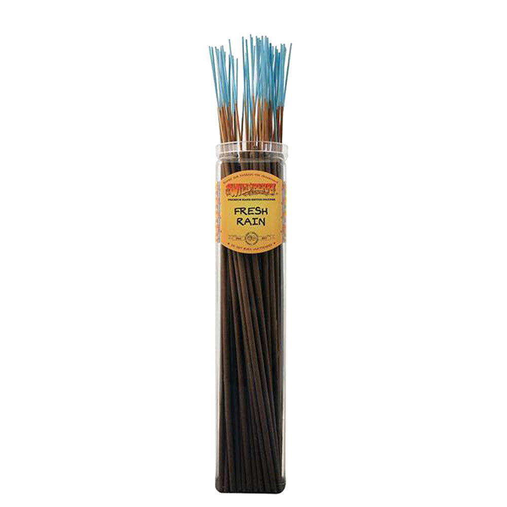 Biggies Incense Sticks | 50pc Bundle
