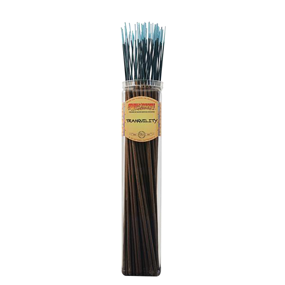 Biggies Incense Sticks | 50pc Bundle