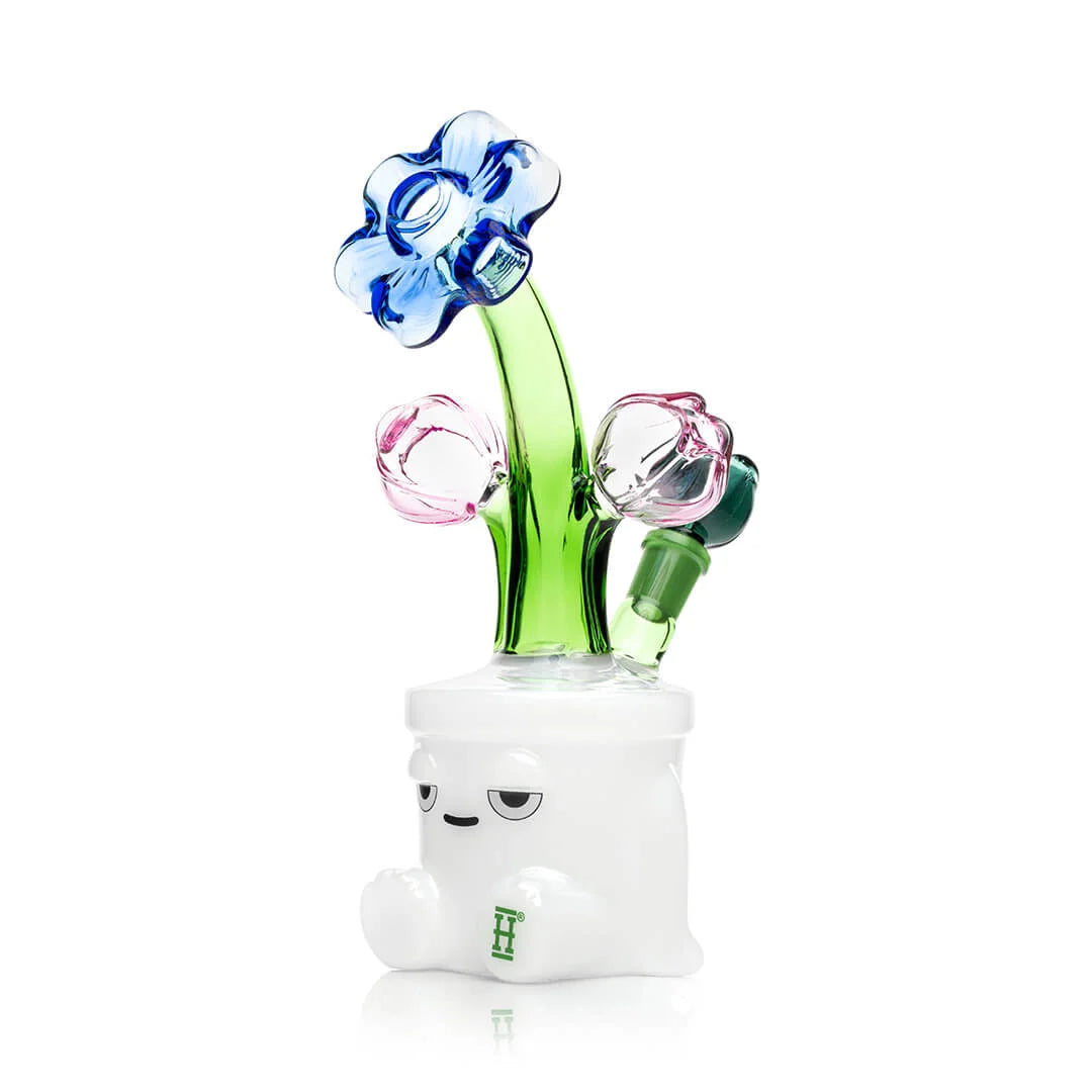 HEMPER Bloom XL Bong