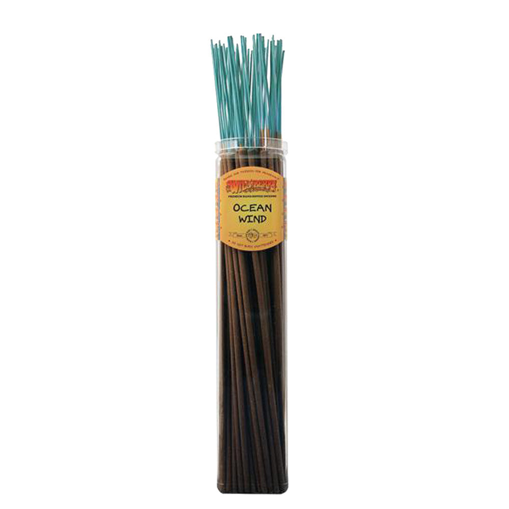 Biggies Incense Sticks | 50pc Bundle