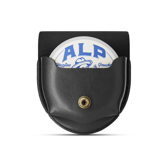 ALP Leather Holster