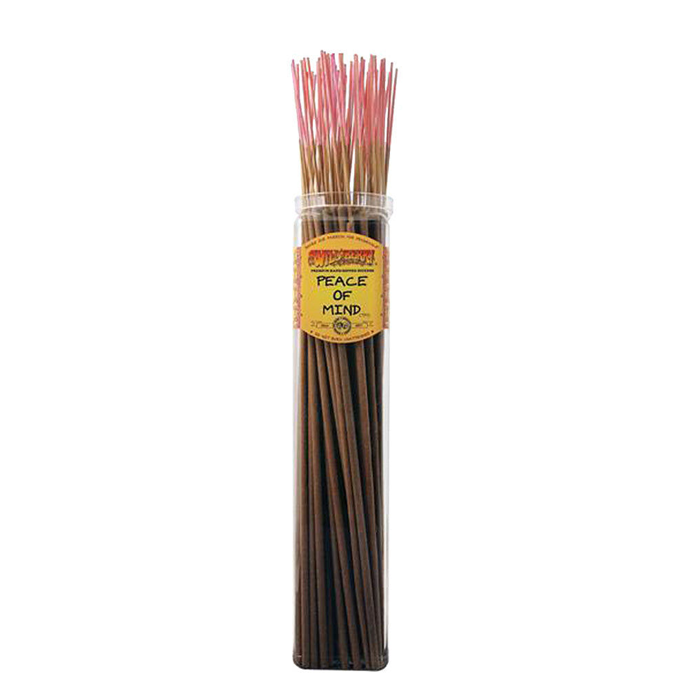 Biggies Incense Sticks | 50pc Bundle