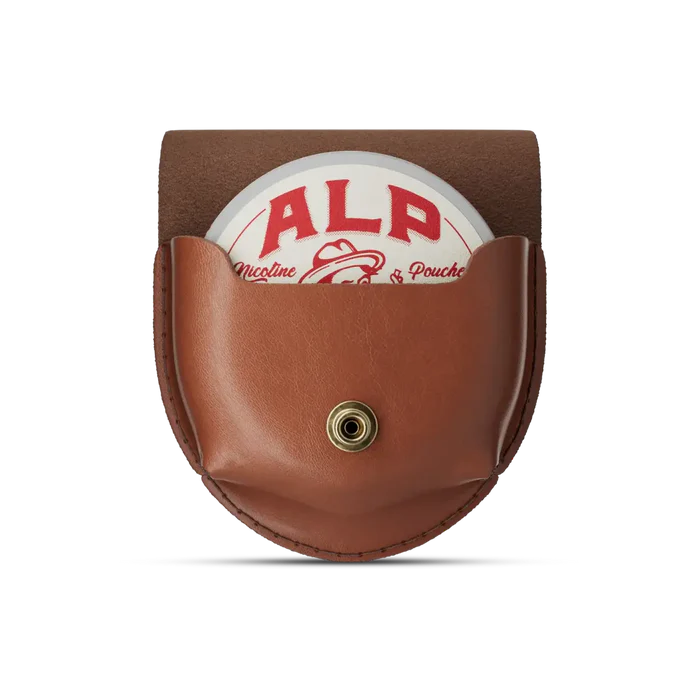 ALP Leather Holster