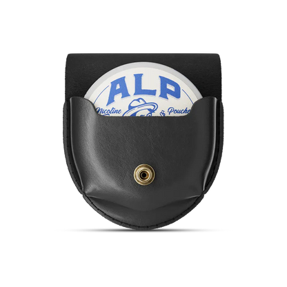 ALP Leather Holster