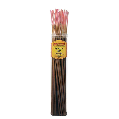 Biggies Incense Sticks | 50pc Bundle