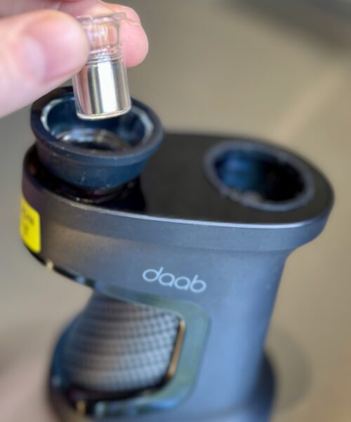 daab Inner Cup