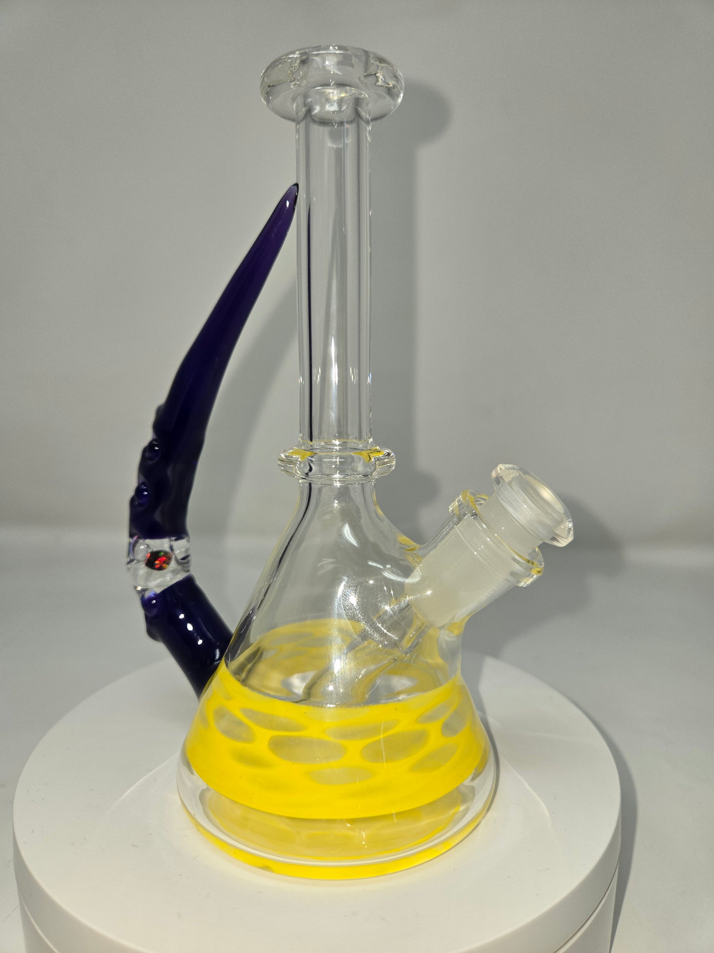 Economy Jammers with Horn & Opal