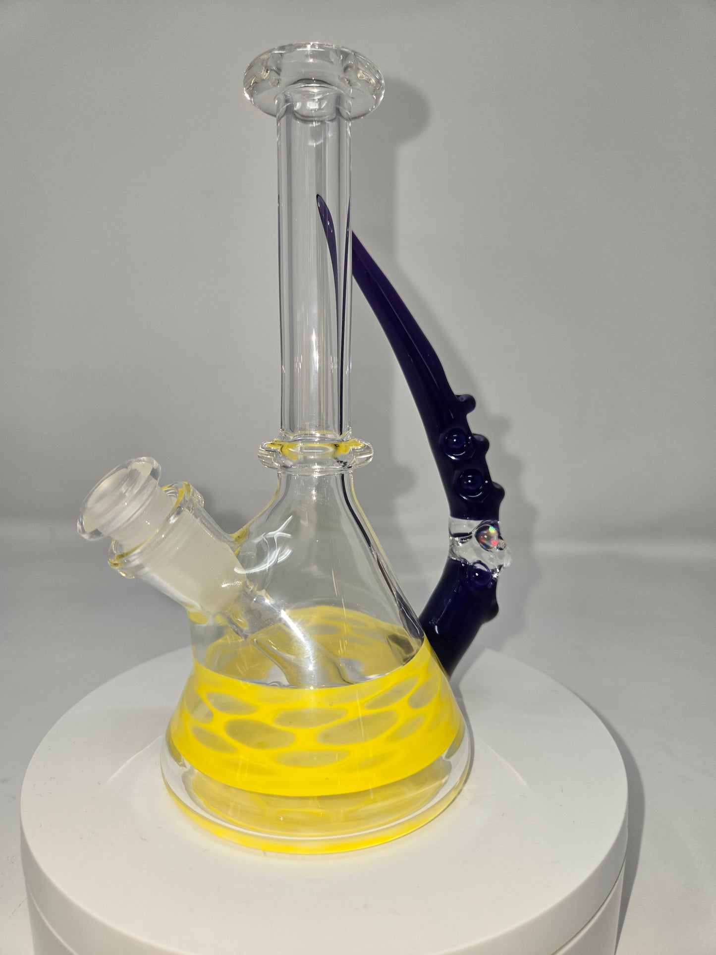 Economy Jammers with Horn & Opal