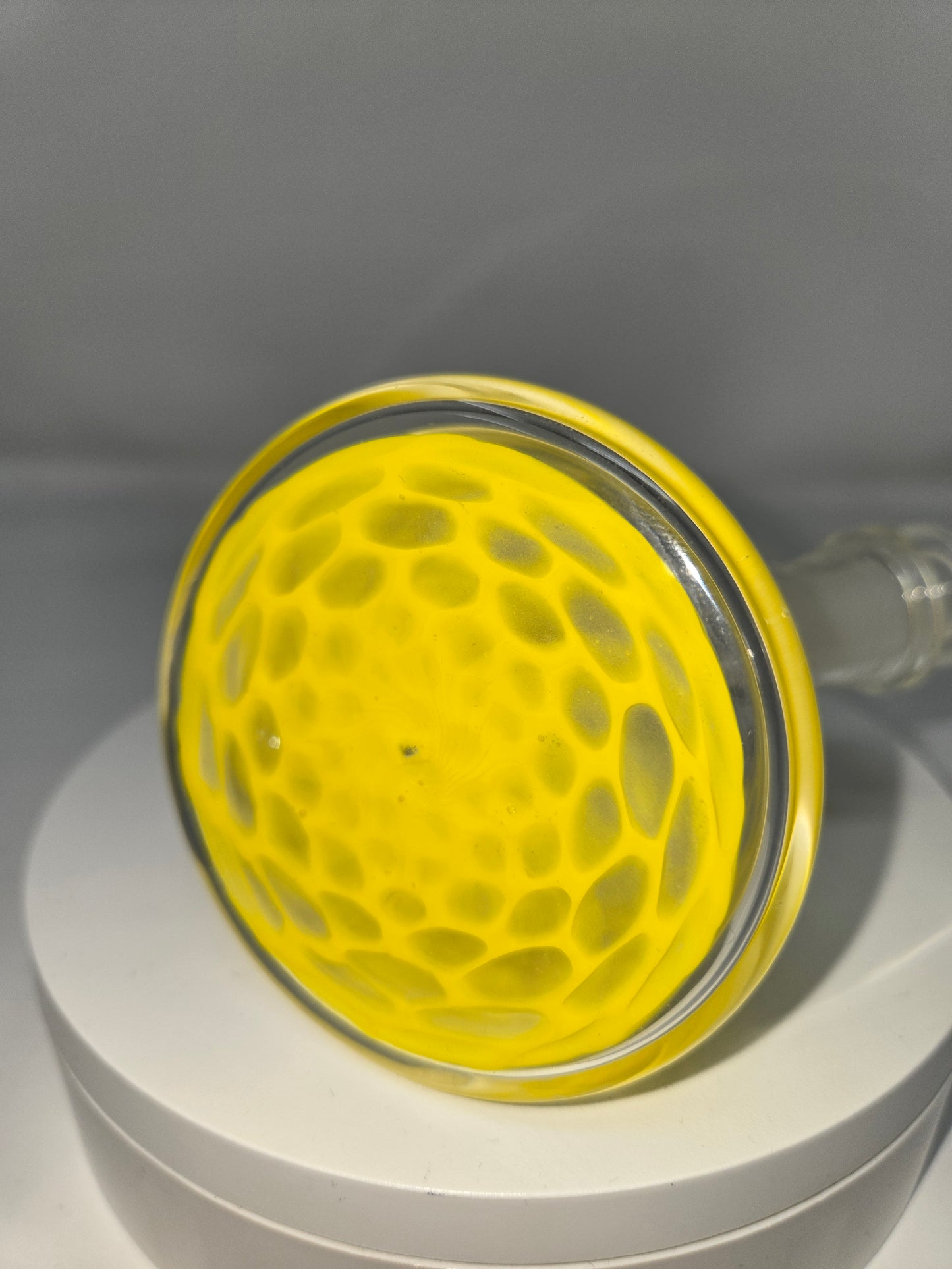 Economy Jammers with Horn & Opal