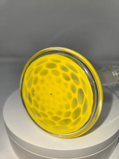 Economy Jammers with Horn & Opal