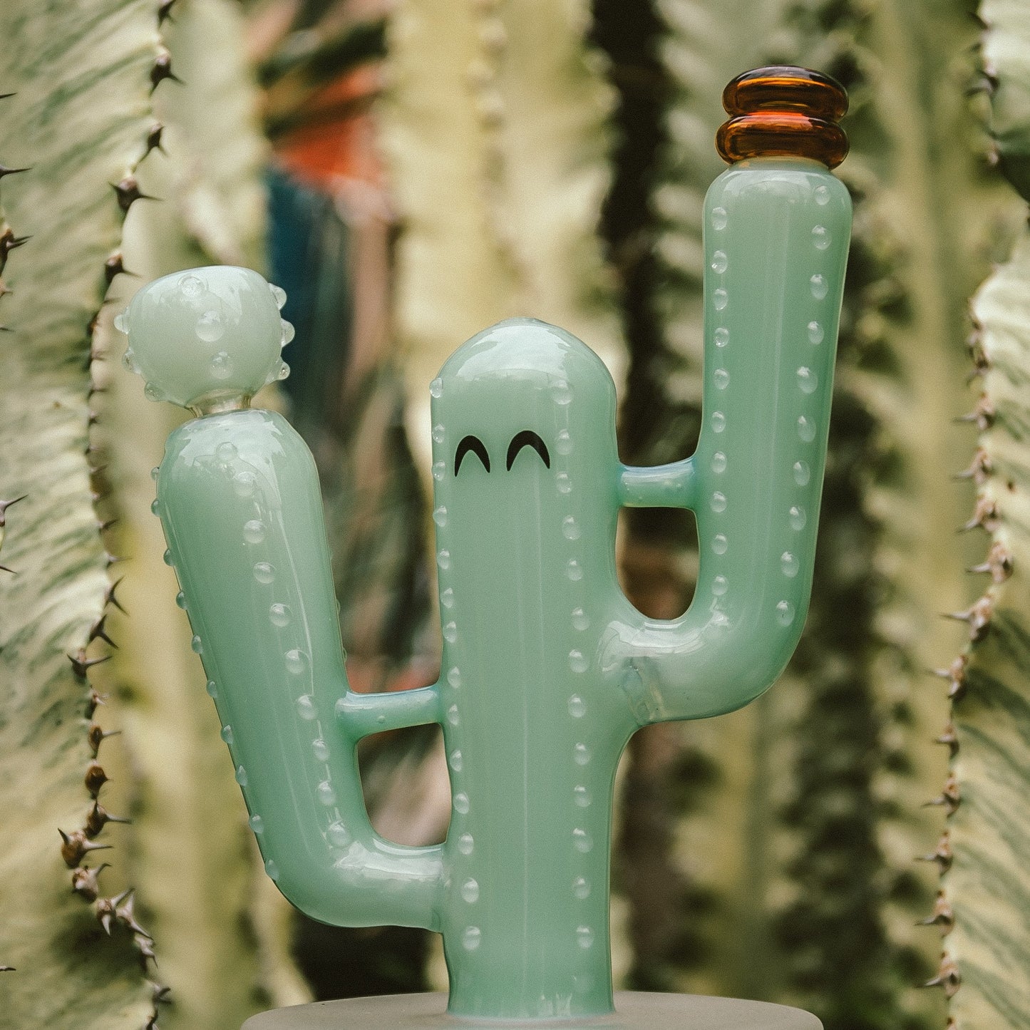 Cactus Jack Bong XL