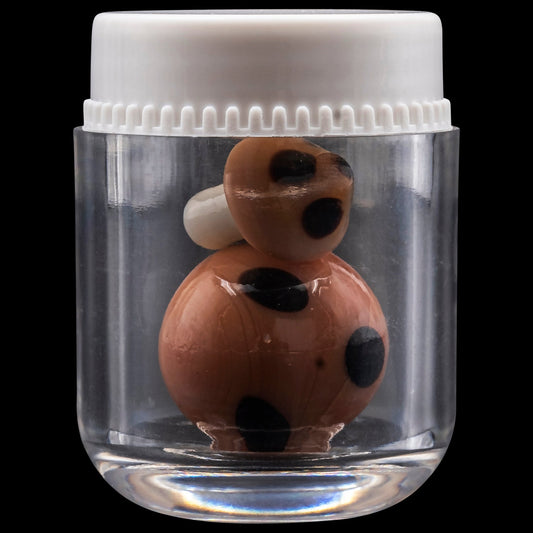 Mushroom Terp Kit