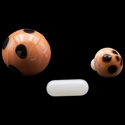 Mushroom Terp Kit