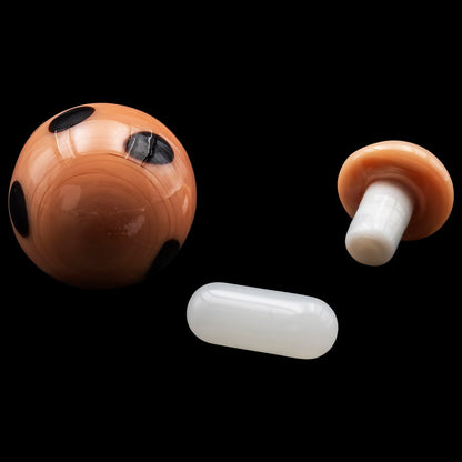 Mushroom Terp Kit